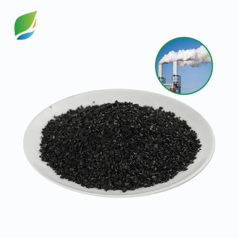 product-800-800